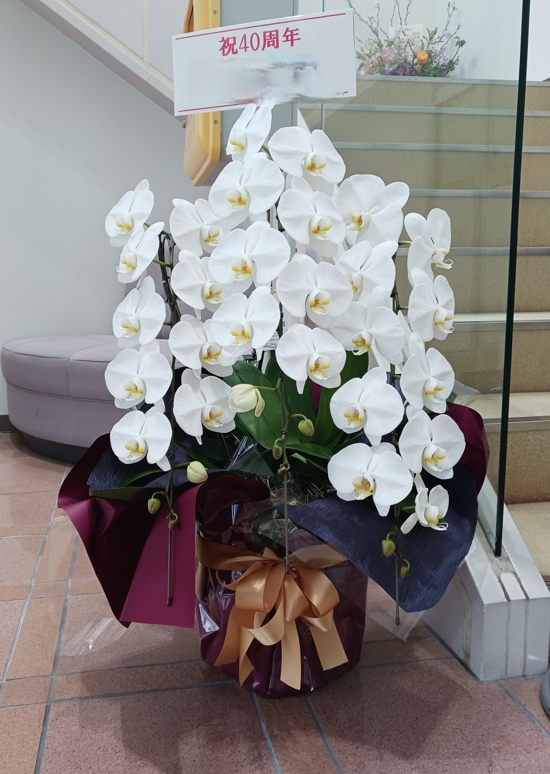 40周年のお祝いありがとうございます