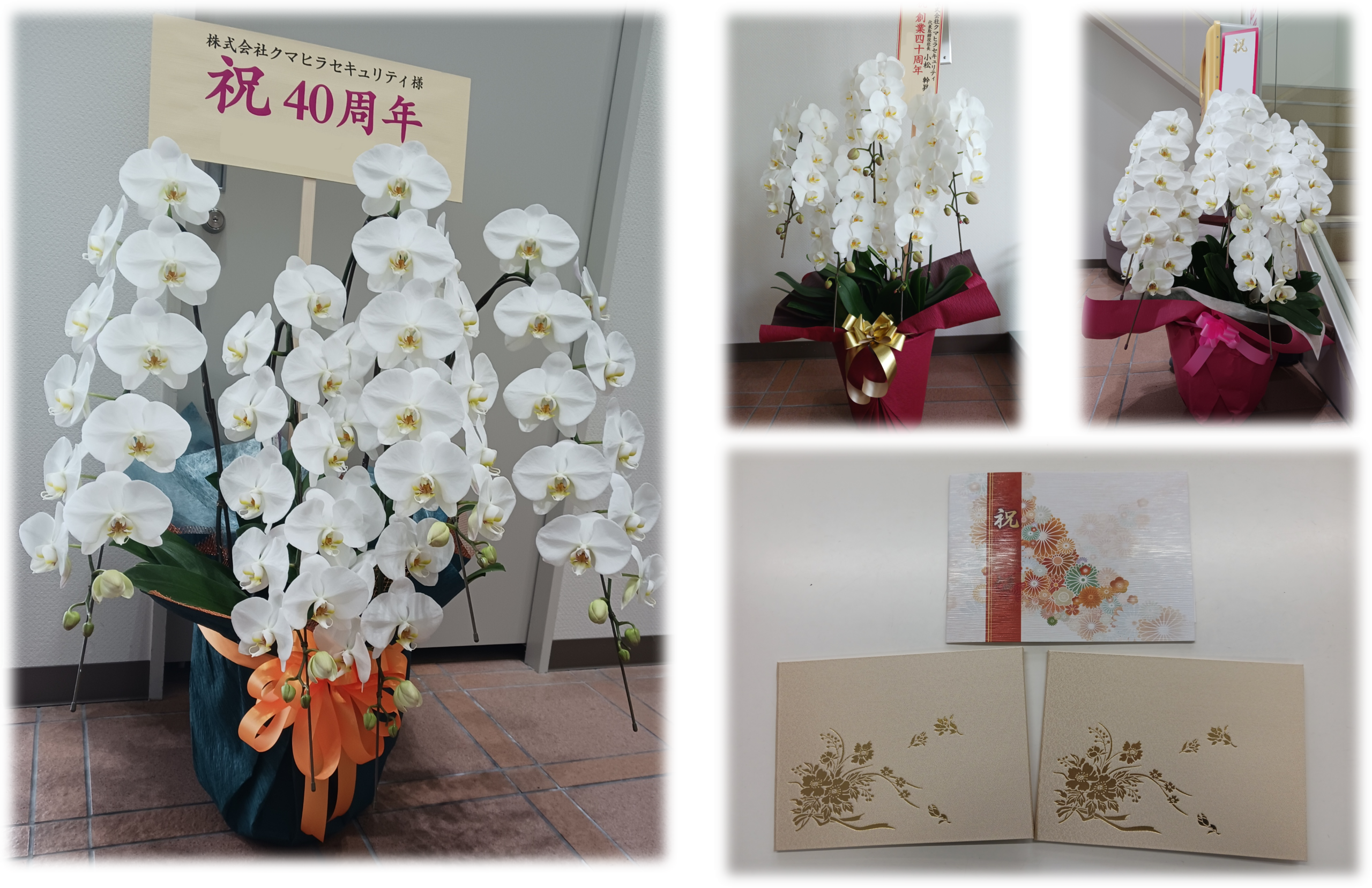 先日につづき40周年のお祝いありがとうございます